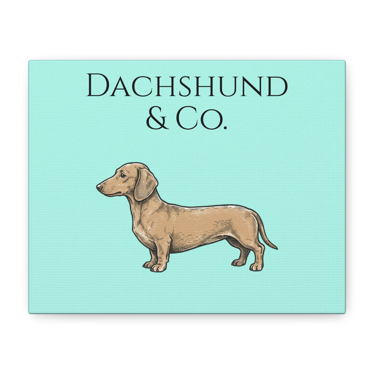 Dachshund & Co. Matte Canvas Wall Art — Teal Stretched Dachshund Print